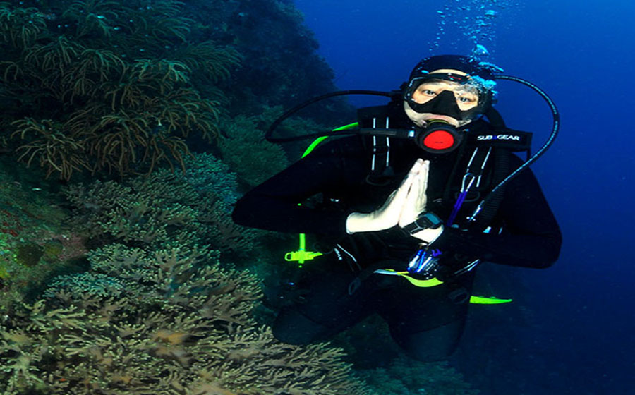 Tenggol-Technicolor-Reef